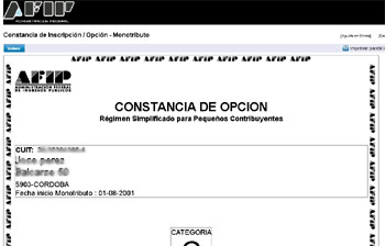 Constancia Afip Monotributo : Constancia De Monotributo - Contador ...