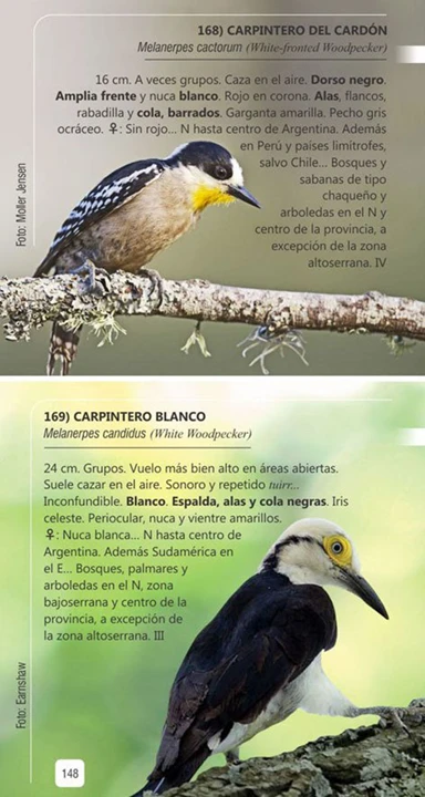 Aves de Córdoba