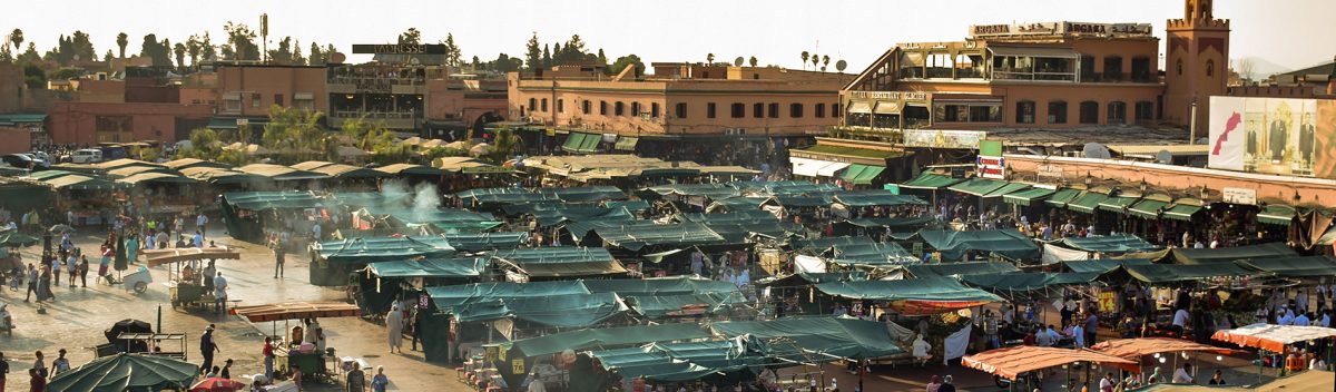 Cosas bizarras que vimos en la plaza de Marrakech