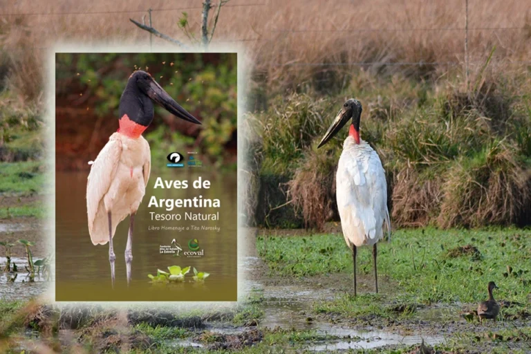 Libro Aves de Argentina, Tesoro Natural (Ecoval Ediciones)