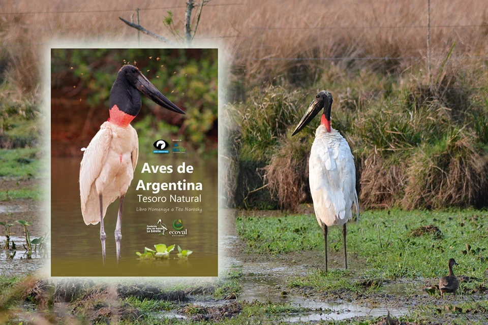 Aves de Argentina Tesoro Natural Homenaje a Tito Narosky