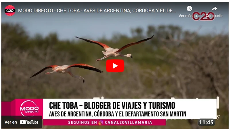 Modo Directo - Canal 20 - Aves de Villa María