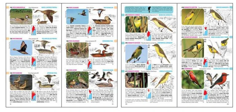 Libro identificación de aves argentinas - Guía de Bolsillo