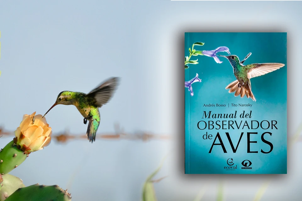 Manual del Observador de Aves (Tito Narosky)